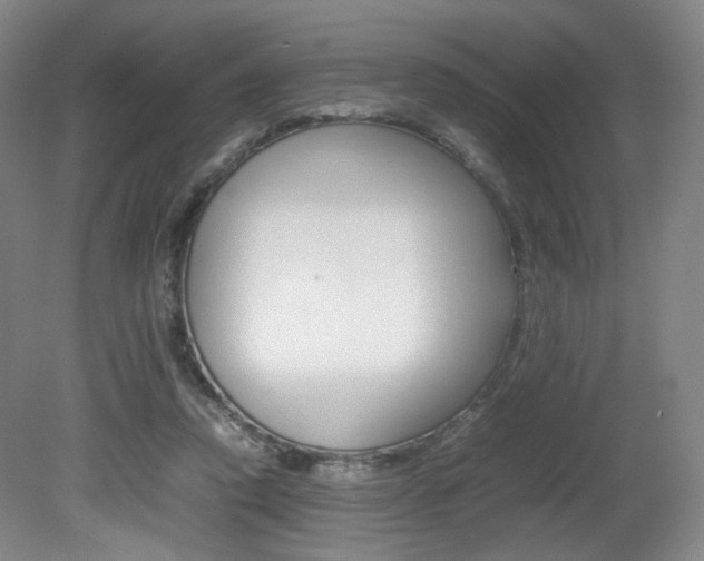 X0000080780354200612151038