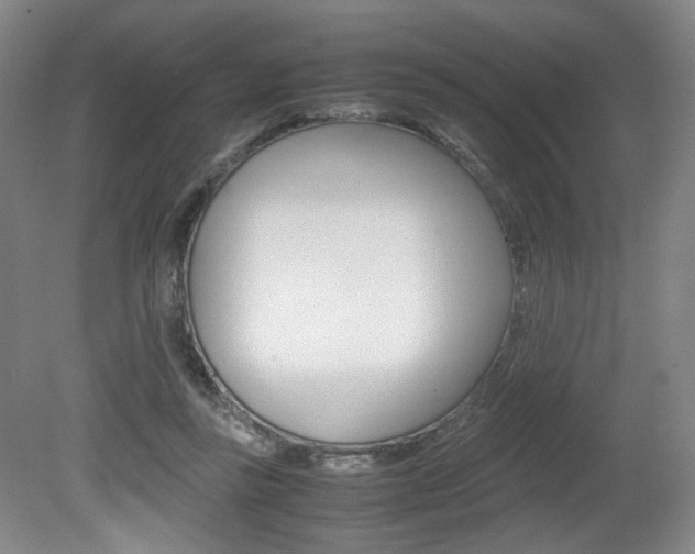 X0000080780355200612151038