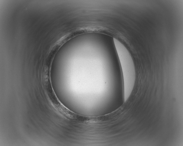 X0000080780356200612151038