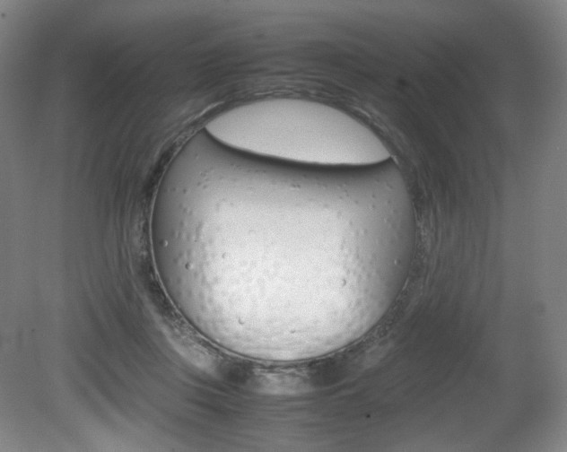 X0000080780359200612151038