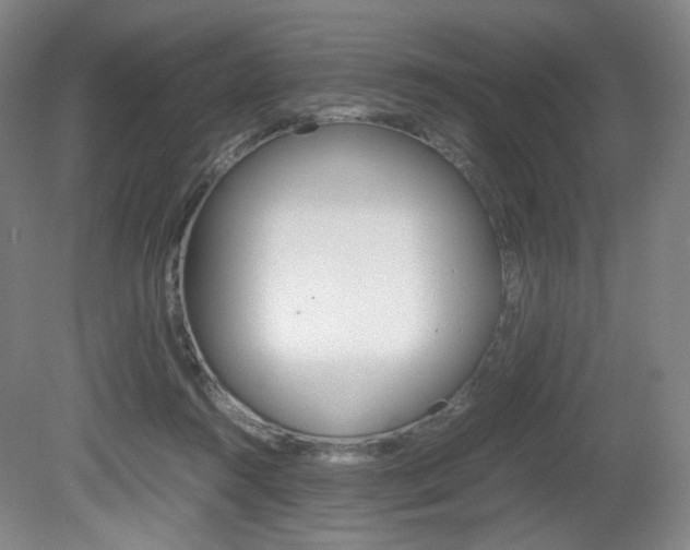 X0000080780360200612151038