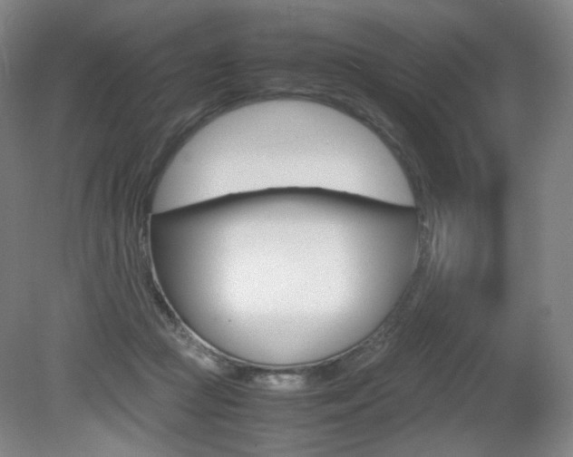 X0000080780361200612151038