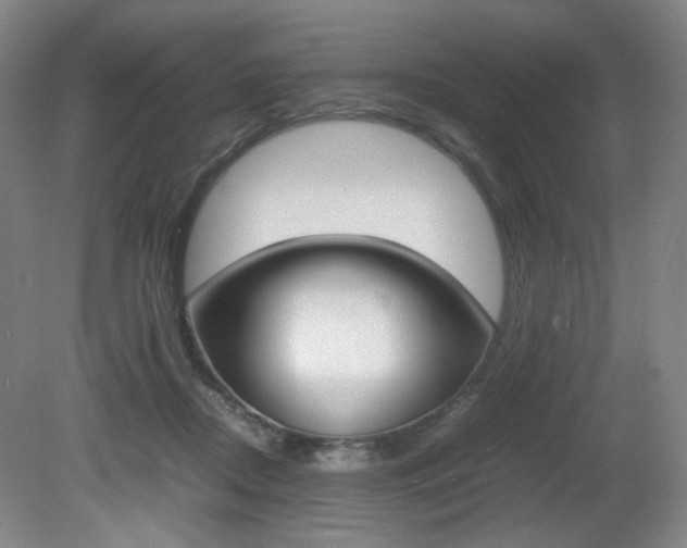 X0000080780362200612151038