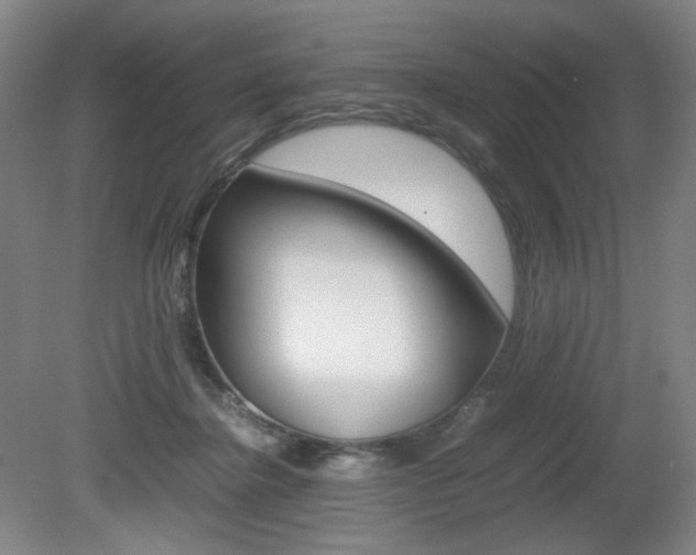X0000080780364200612151038