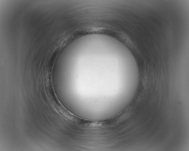 X0000080780366200612151038