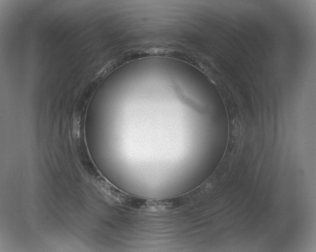 X0000080780368200612151038