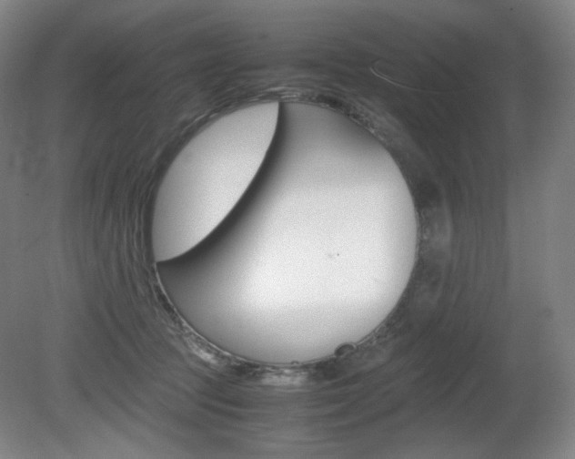 X0000080780369200612151038
