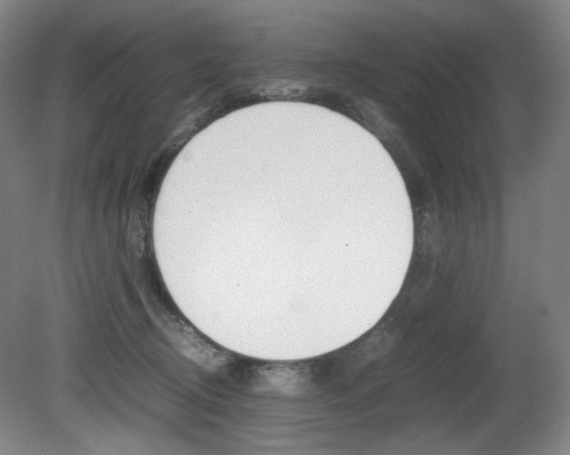 X0000080780370200612151038