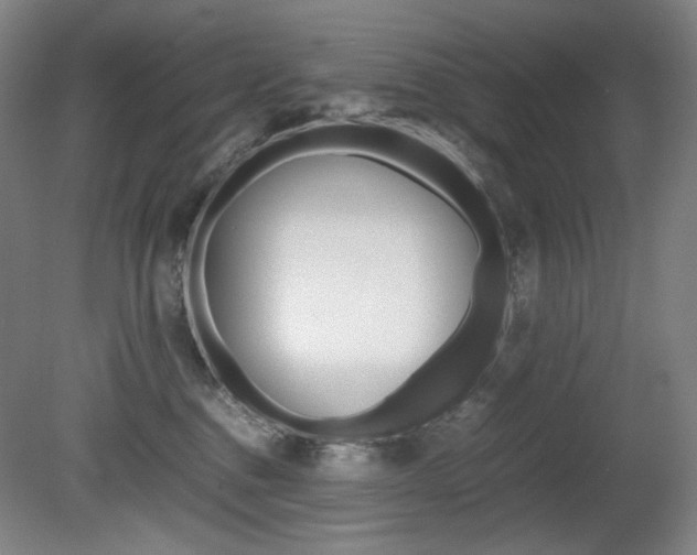 X0000080780376200612151038