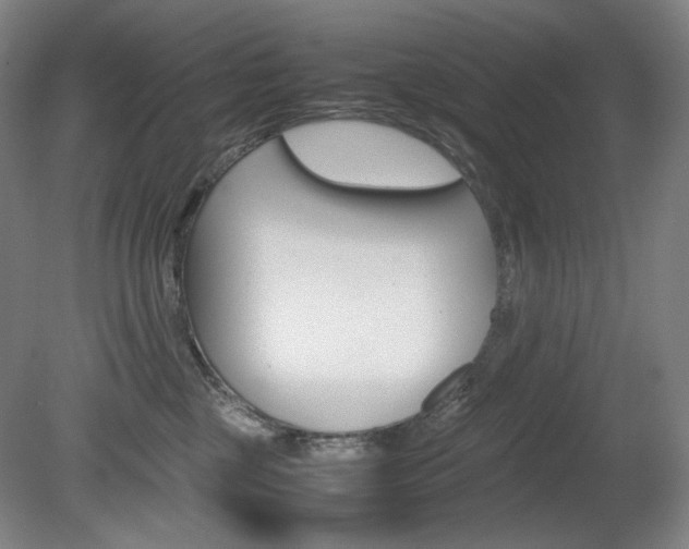 X0000080780377200612151038