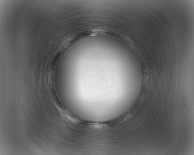 X0000080780379200612151038