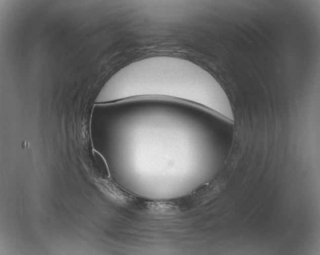 X0000080780380200612151038
