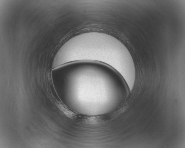 X0000080780382200612151038