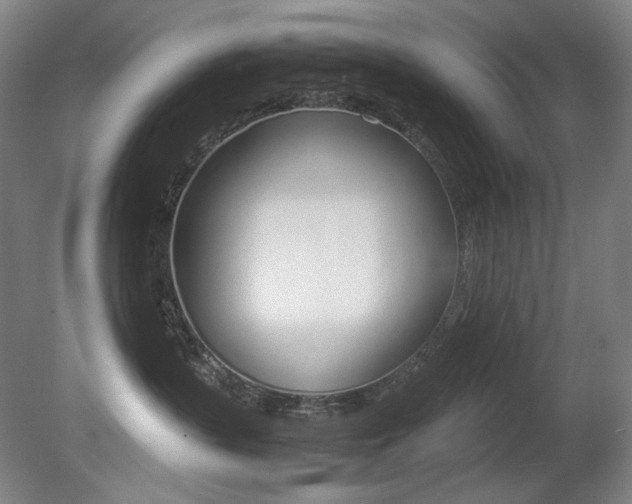 X0000080780383200612151038