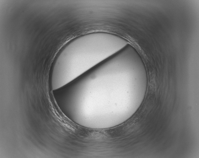X0000080780386200612151037