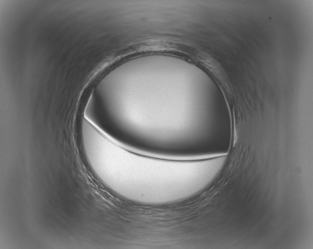 X0000080780387200612151037