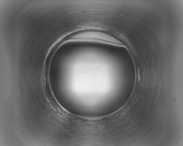 X0000080780388200612151037