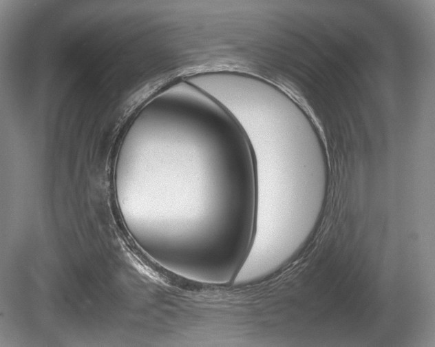 X0000080780389200612151037