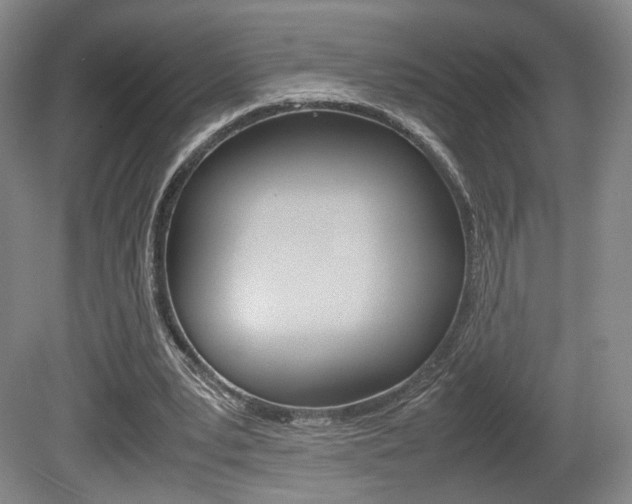 X0000080780391200612151037