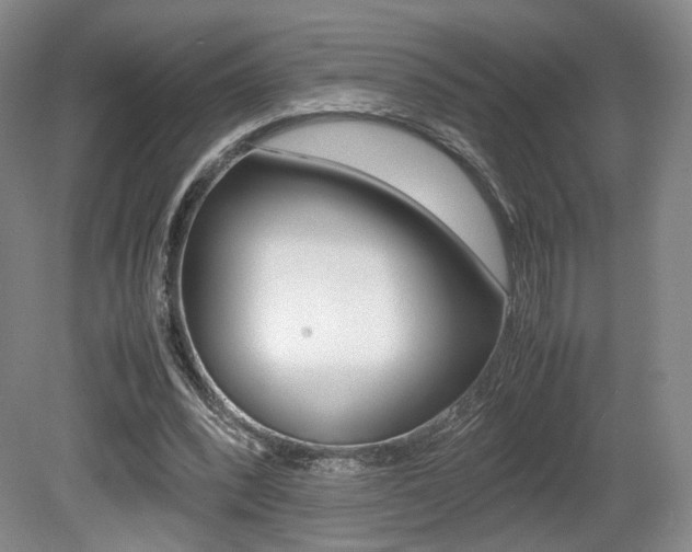 X0000080780392200612151037