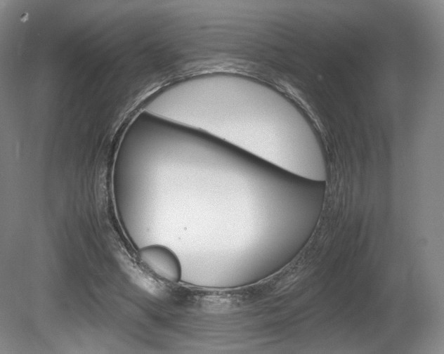 X0000080780394200612151037
