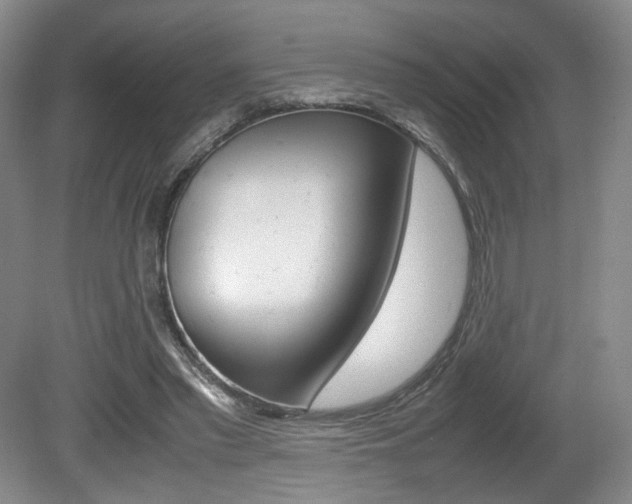 X0000080780397200612151037