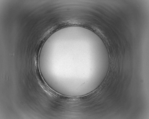 X0000080780398200612151037