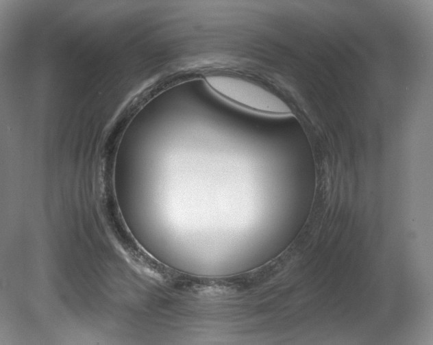 X0000080780400200612151037