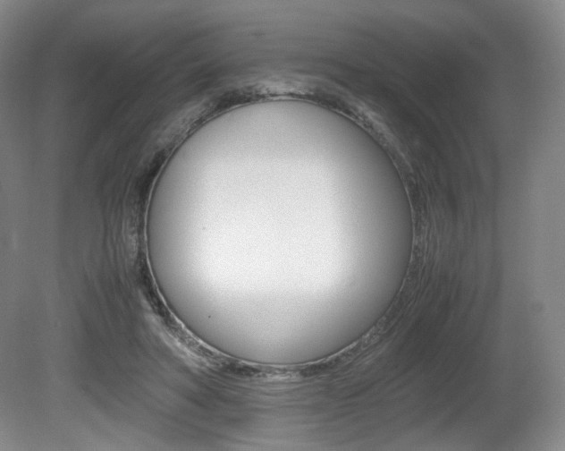 X0000080780402200612151037