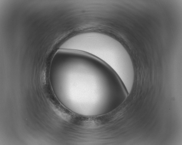 X0000080780404200612151037