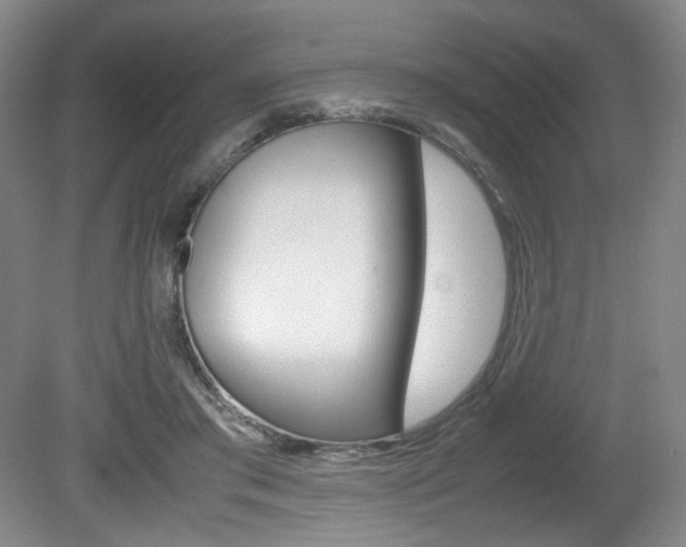 X0000080780405200612151037