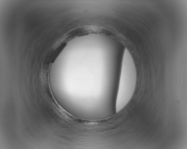 X0000080780409200612151037