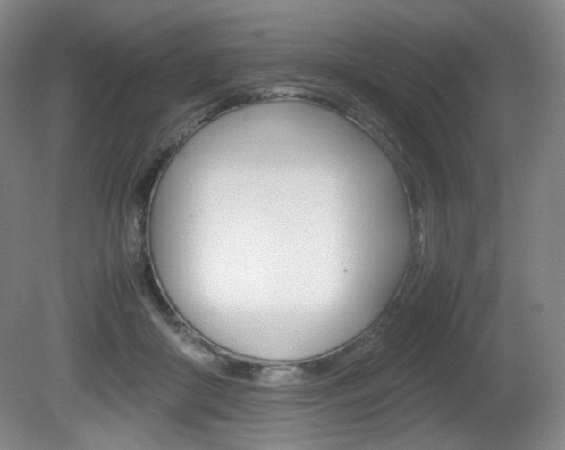 X0000080780410200612151037