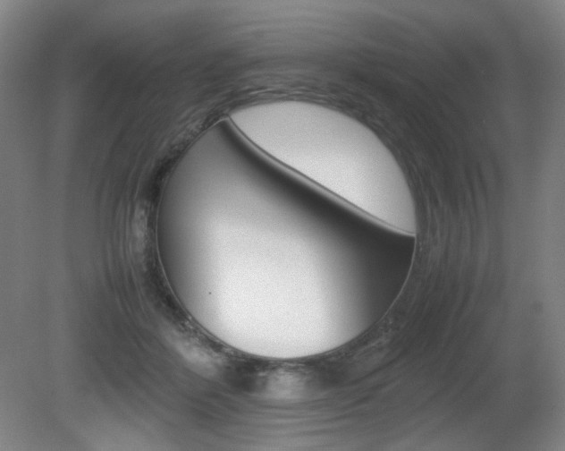 X0000080780412200612151037