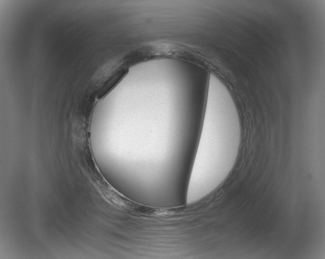 X0000080780413200612151037