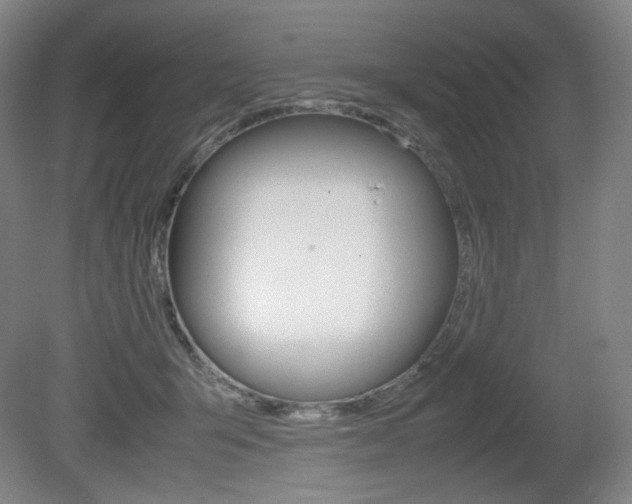 X0000080780415200612151037