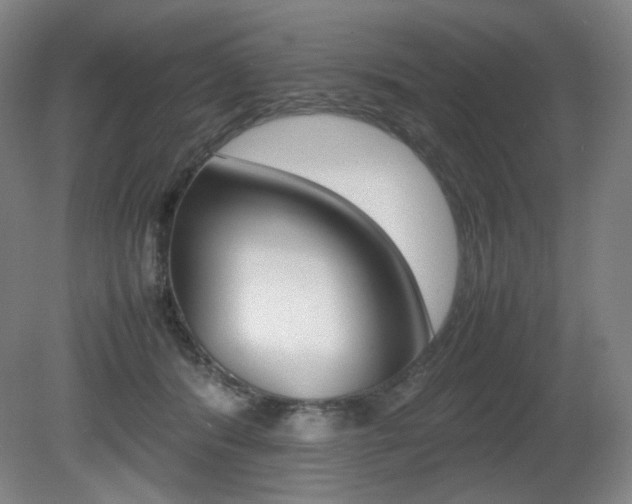 X0000080780416200612151037