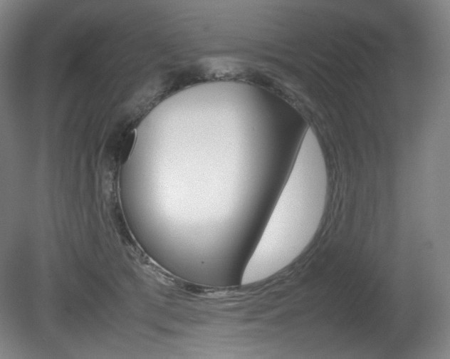 X0000080780417200612151037