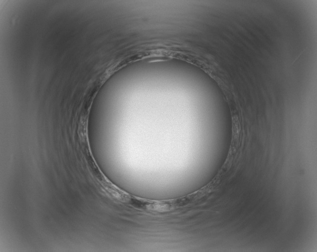 X0000080780419200612151037