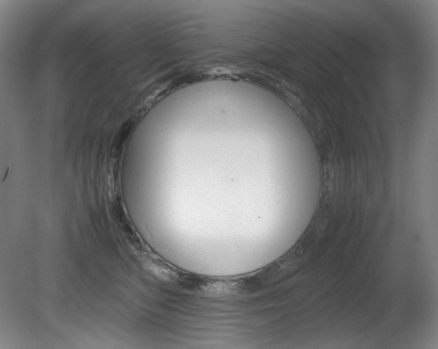 X0000080780422200612151037