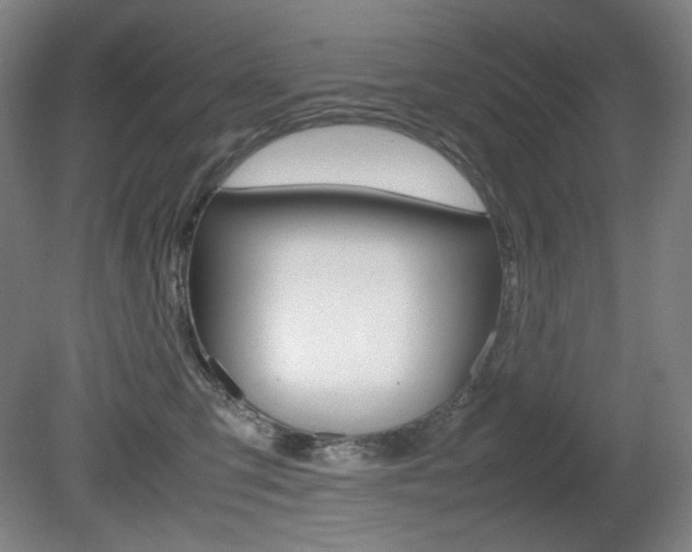 X0000080780423200612151037