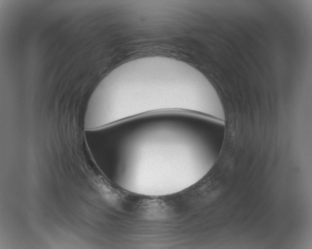 X0000080780424200612151037