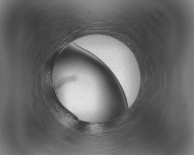 X0000080780425200612151037