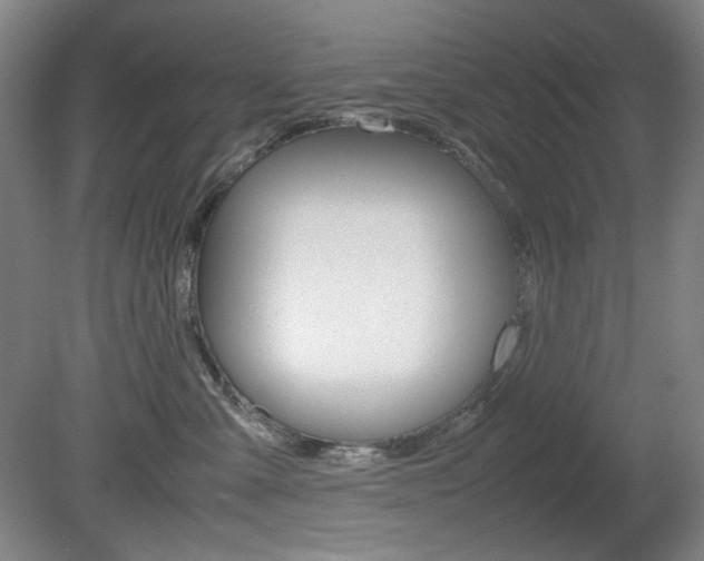 X0000080780427200612151037