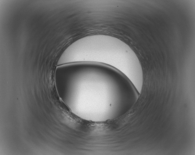 X0000080780428200612151037