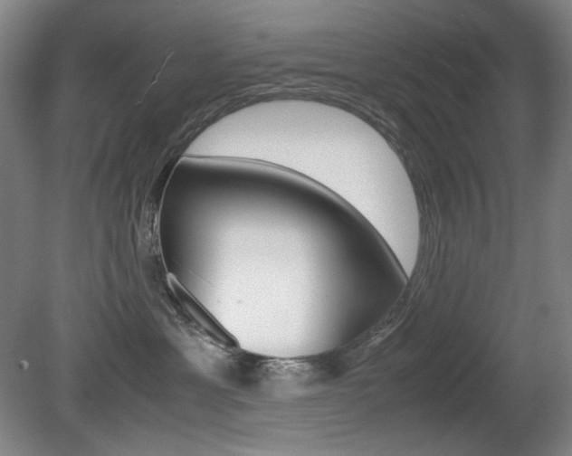 X0000080780429200612151037