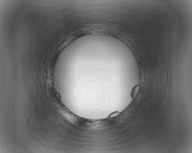 X0000080780430200612151037