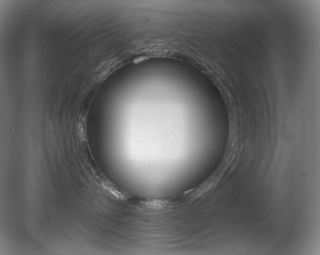 X0000080780432200612151036