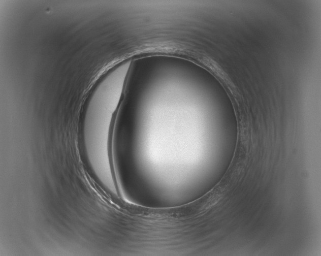 X0000080780434200612151036