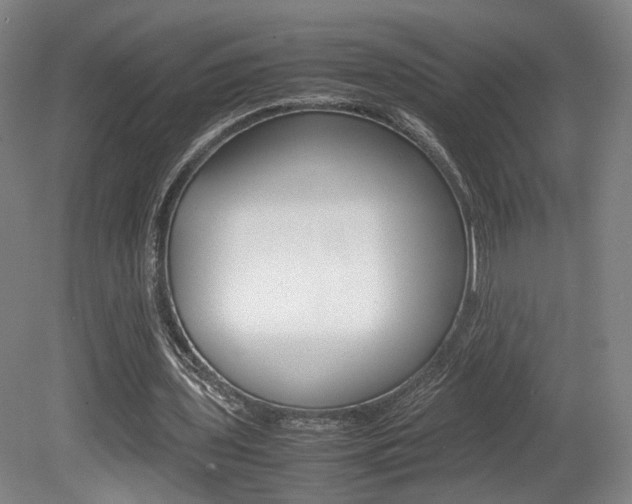 X0000080780435200612151036
